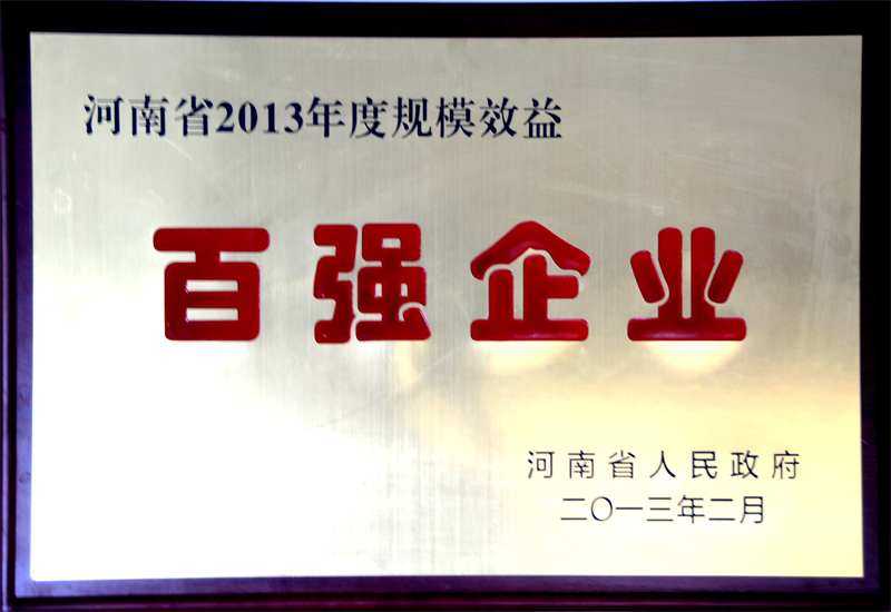 ʡ2013ȹģЧǿҵ